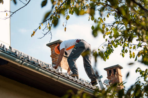 Best Flat Roof Repair Services  in Red Bay, AL