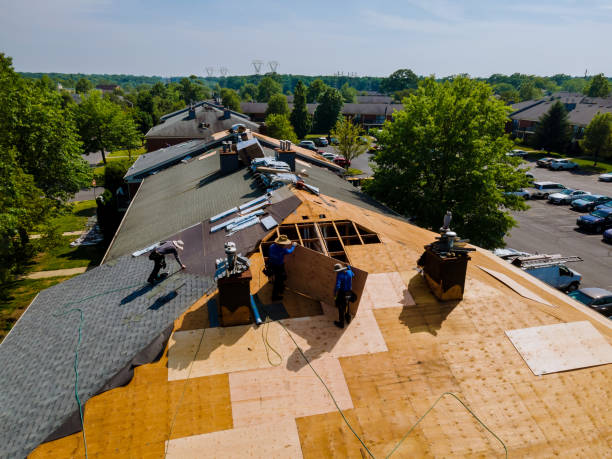 Roof Gutter Cleaning in Red Bay, AL