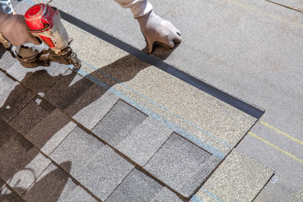 Best Storm Damage Roof Repair  in Red Bay, AL